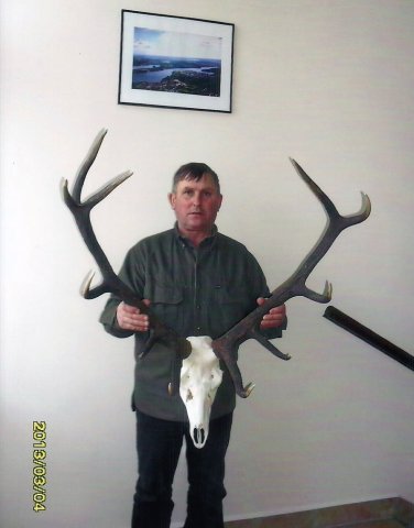 Trofea lowieckie mysliwych kola, wystawy lowieckie